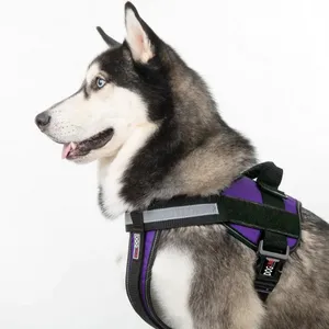 Dogline Unimax Multi-Purpose Dog Harness Blue