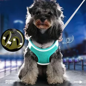 Reflective Oxford Vest Dog Harness Set