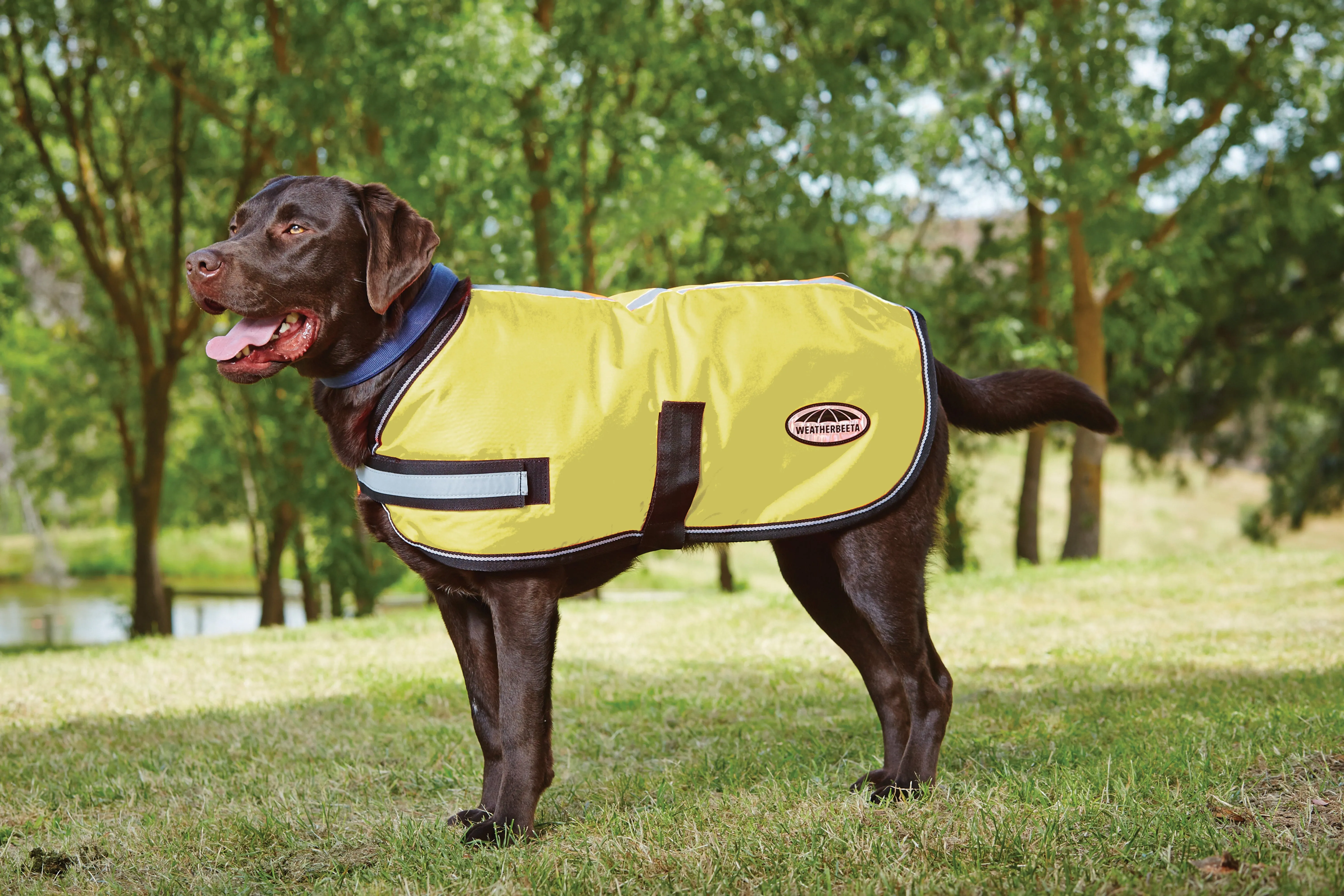 Weatherbeeta ComFiTec Reflective Parka 300D Dog Coat