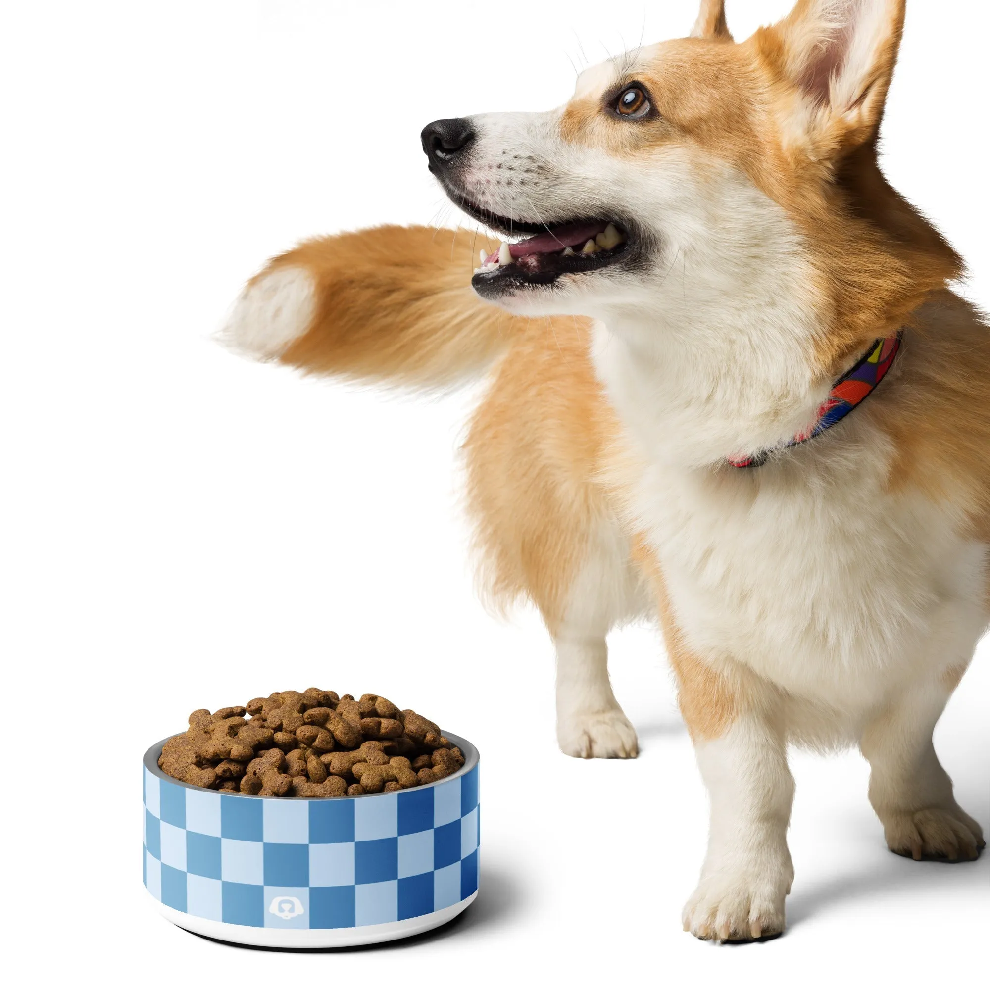 WUFORIA Checker Ocean Blue 32oz Dog Bowl